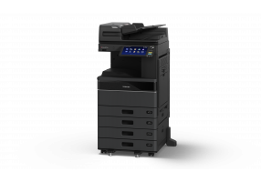 eS6525AC DSDF 4cst L LT