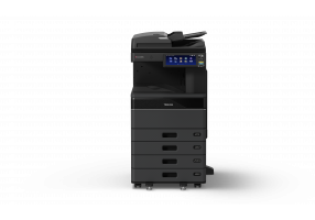 eS6528A RADF 4cst F LT